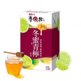 Vita Tsing Sum Zhan Winter Honey Lime Beverage 250ml
