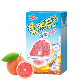 Vita Gor Yin Hai Icy Pink Grapefruit Tea 250ml