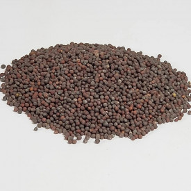Yuen Heng Spice Co Black Mustard Seed