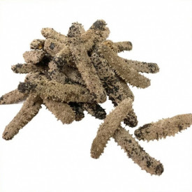 First Edible Nest Japan Dried Sea Cucumber Large Size 300g