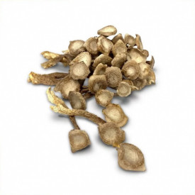 First Edible Nest Dried Velvet Mushroom 150g