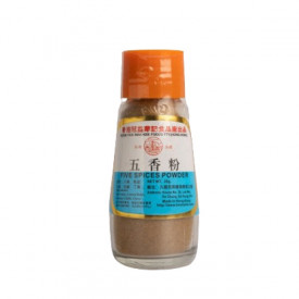 Koon Yick Wah Kee Five Spices Powder 28g